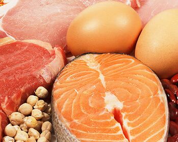 protein diæt til vægttab
